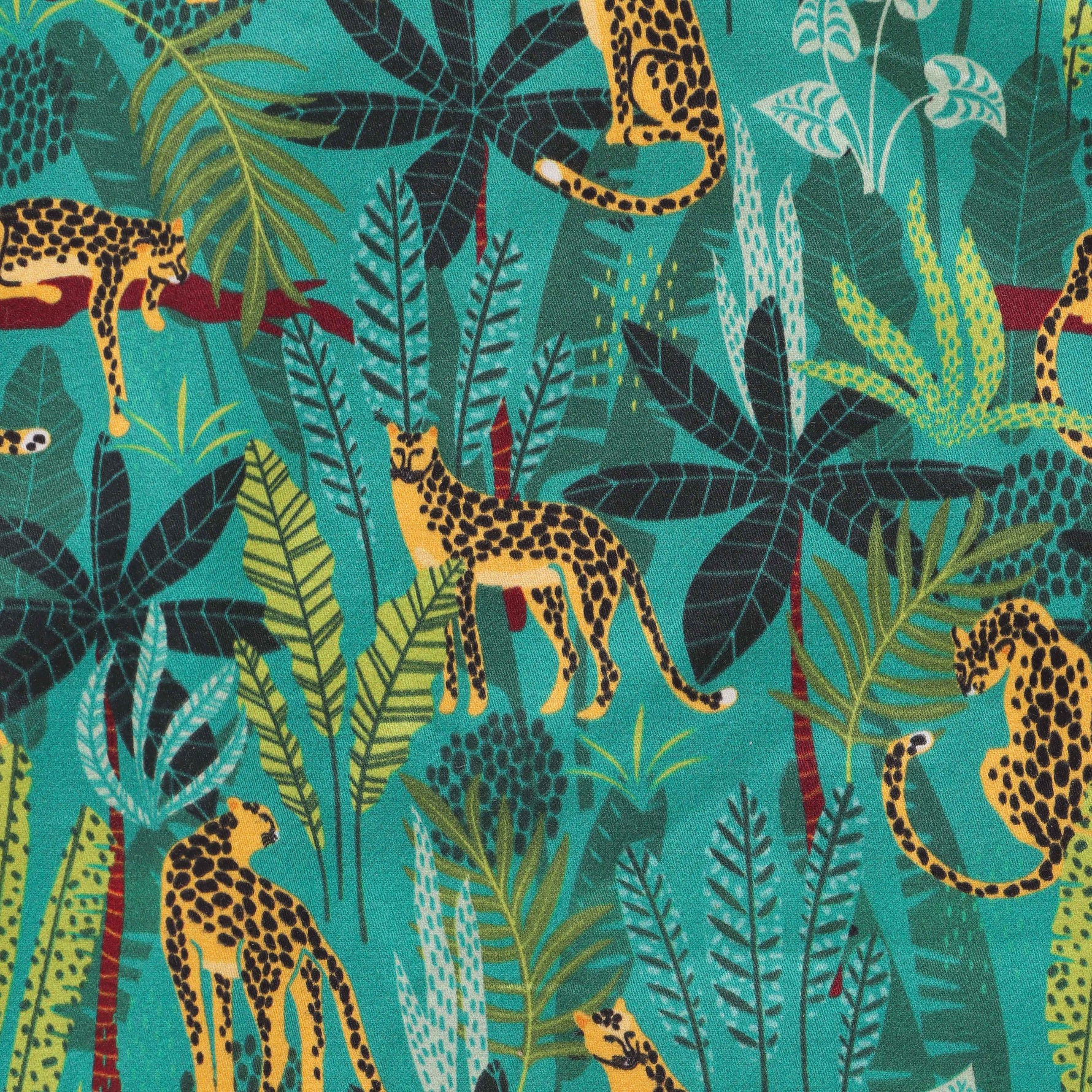 Adventure Ready: Boys Shirt and Shorts Combo Boon Babies