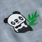 Mini Trendsetter: Boys Stylish Shirt and Shorts Set Boon Babies